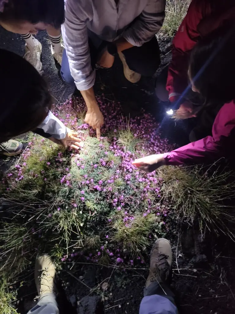 Conservation et tourisme durable sur l'Etna